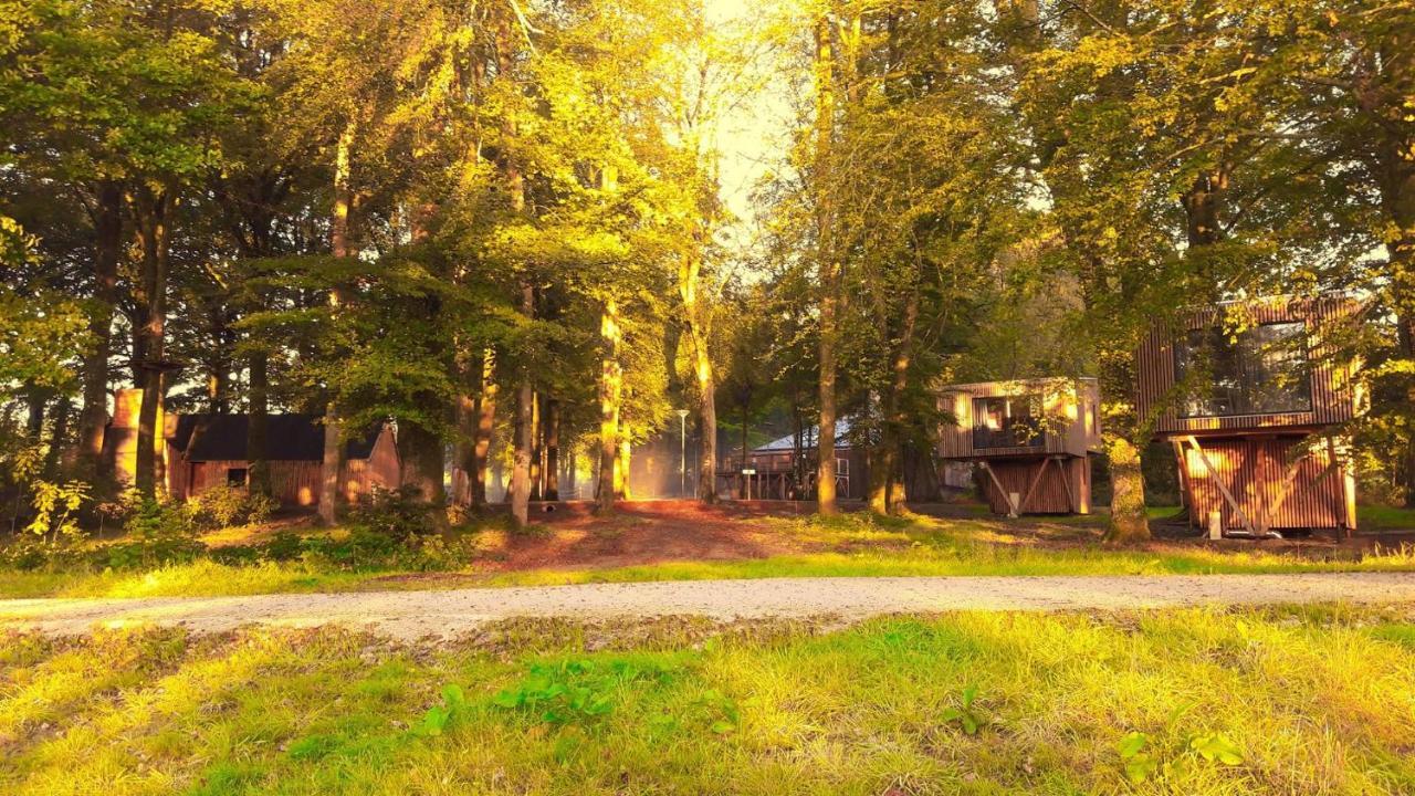 L'Etape En Foret Saint-Sever-Calvados Екстериор снимка